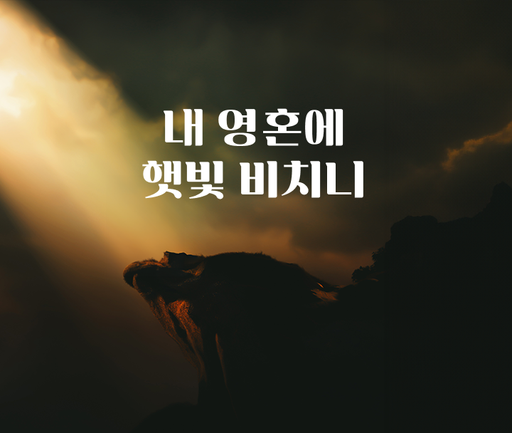 내 영혼에 햇빛 비치니